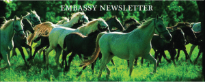 Newsletter of the Slovene EMbassy in Washington, D.C.