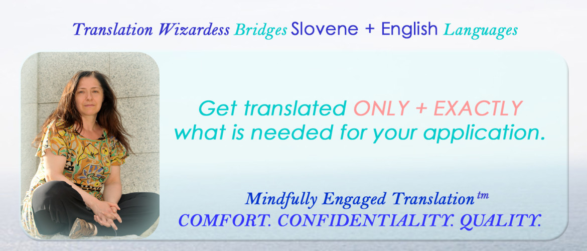 Mindfully Engaged Translation for Individuals
